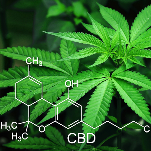 cbd_chem_500_500